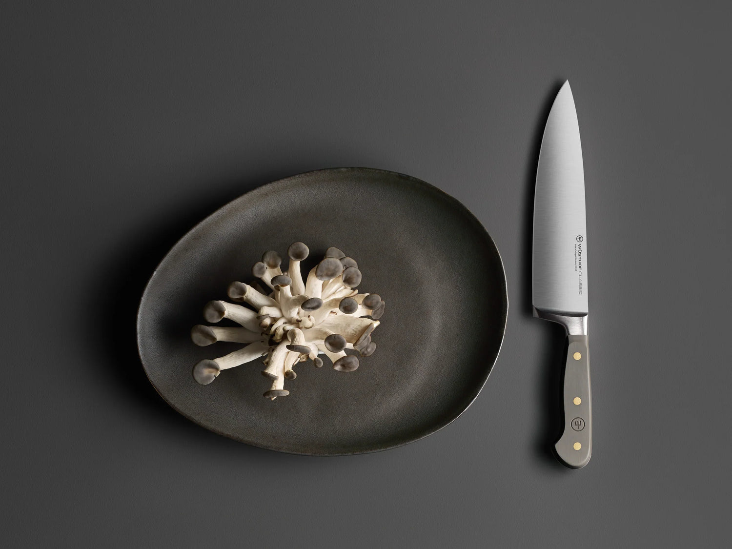 Velvet Oyster